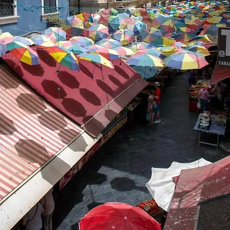 Daire Sicilian Mood - Piscaria